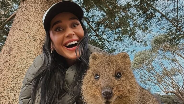Los planes de Katy Perry y su hija tras confirmarse su separación